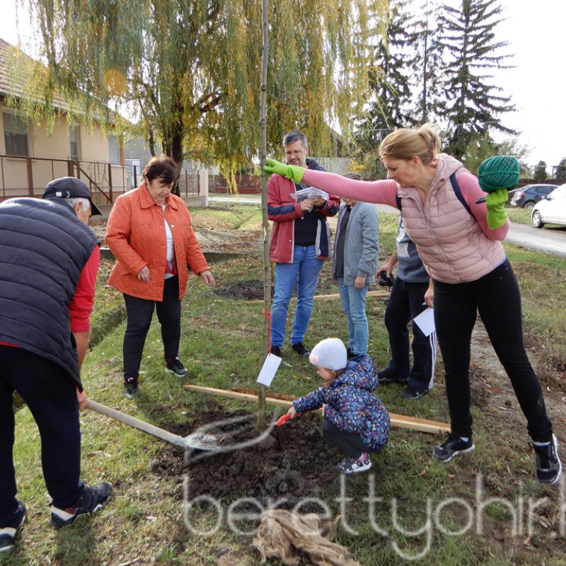 Közösségi faültetés Berettyóújfaluban 13